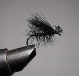 ���� X Caddis  Black  Kumho � 12 